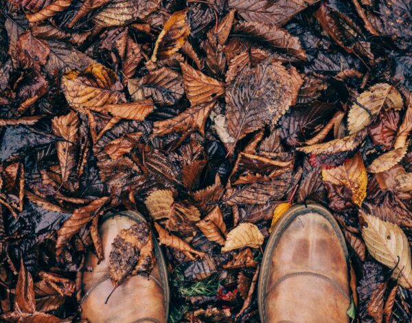 We can lift all types of garden waste