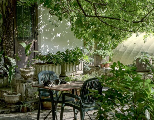 Spring Clearouts for Gardens, Garages, Lofts and Cellars